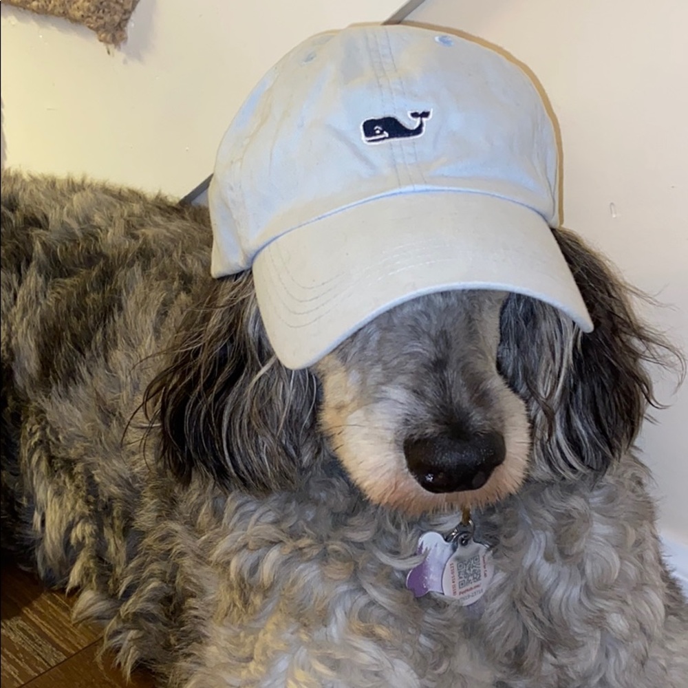 Blue vineyard vines cap